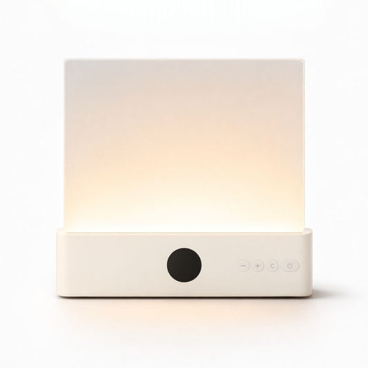 The Night Readers Lamp