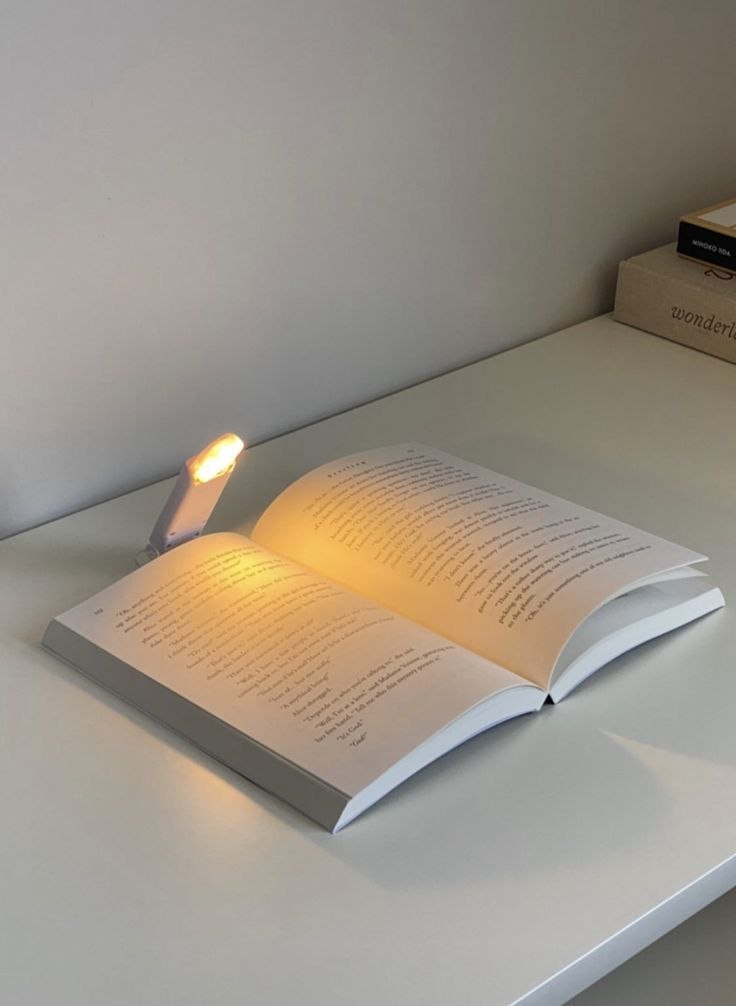Clip-On LED Reading Book Lamp